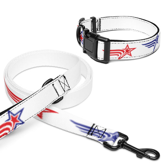 Pet collar & leash