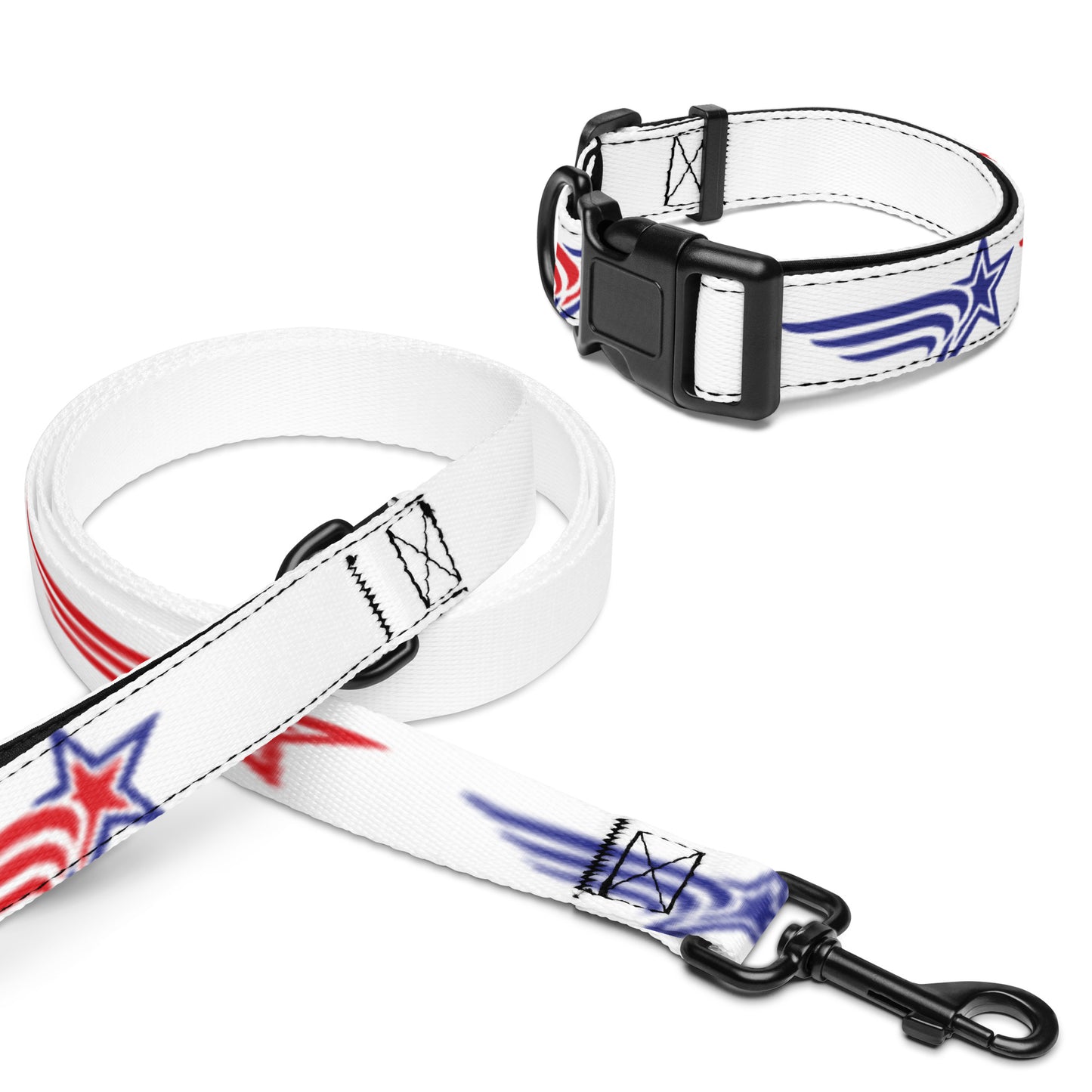 Pet collar & leash