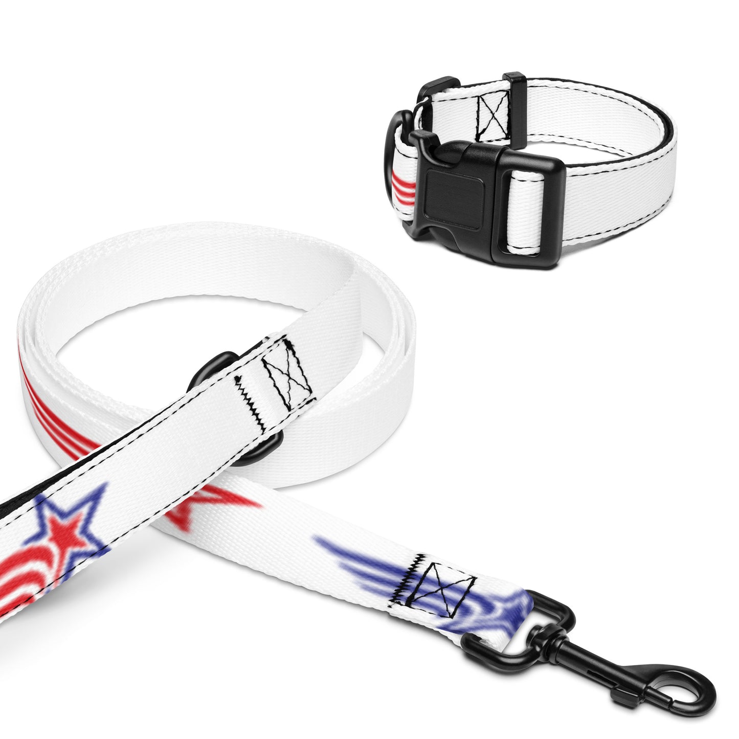 Pet collar & leash