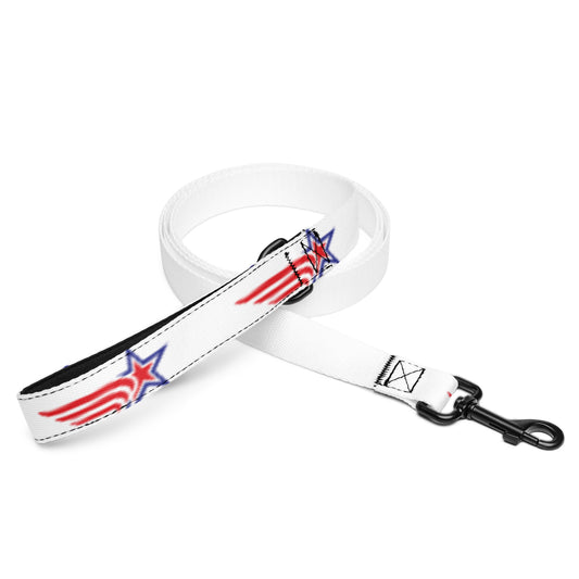 Pet leash